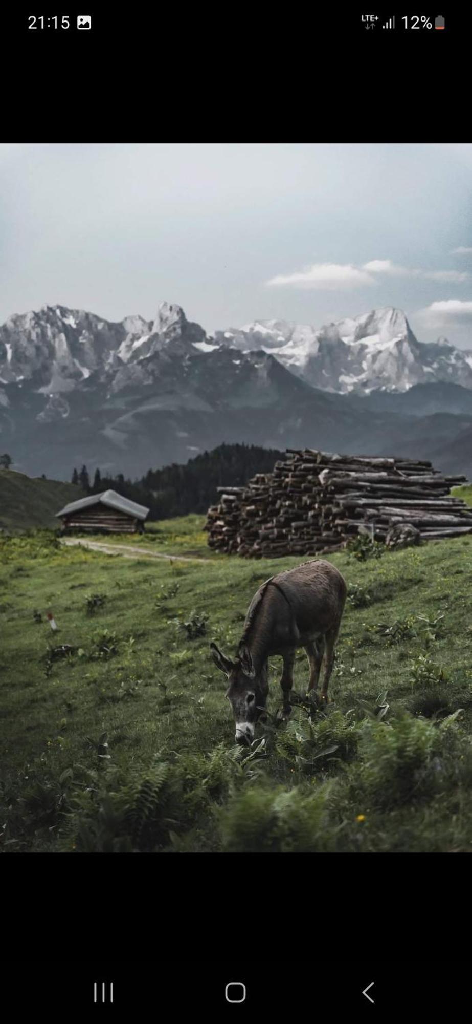 Апартаменти Bergliebe Занкт-Мартін-ам-Тенненґебірґе Екстер'єр фото